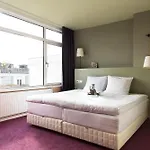 The Neighbour's Magnolia