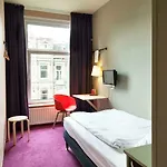 The Neighbour's Magnolia