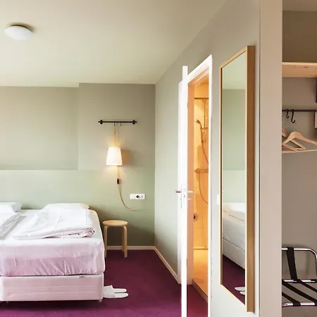 The Neighbour's Magnolia 3*