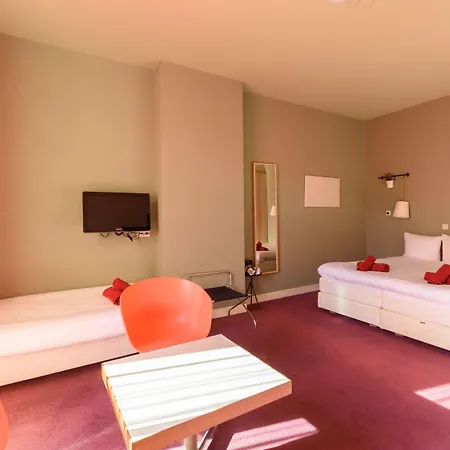 The Neighbour's Magnolia 3*