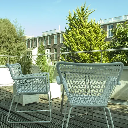 The Neighbour's Magnolia 3*