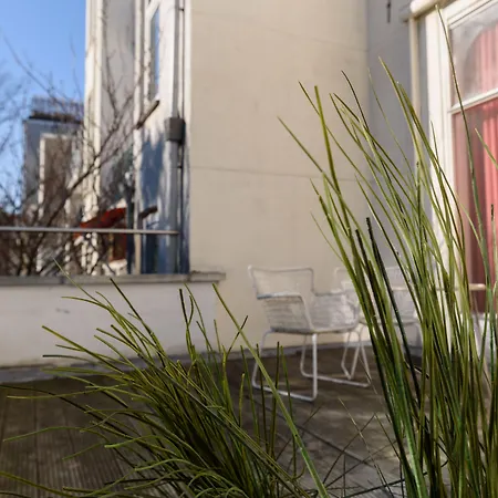 The Neighbour's Magnolia 3*