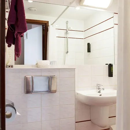 The Neighbour's Magnolia 3*