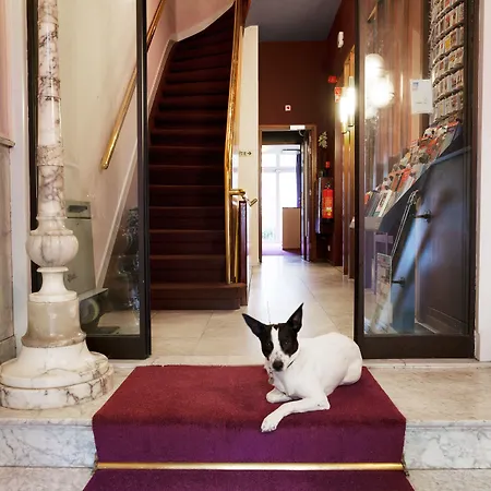 Hotel The Neighbour's Magnolia