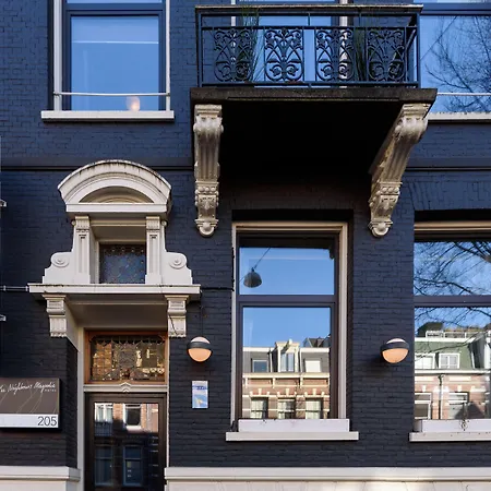 The Neighbour's Magnolia Amsterdam