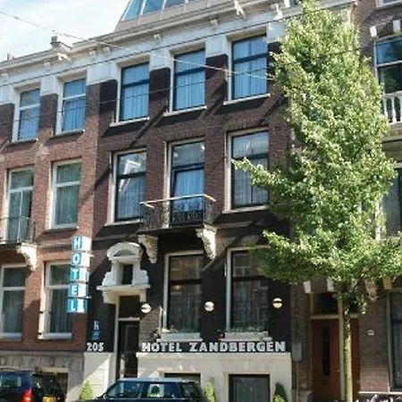 The Neighbour's Magnolia Amsterdam