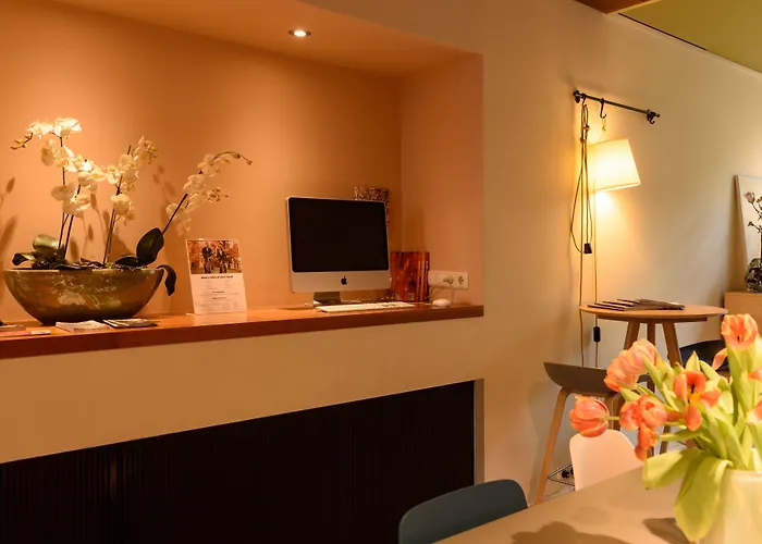 The Neighbour's Magnolia Amsterdam