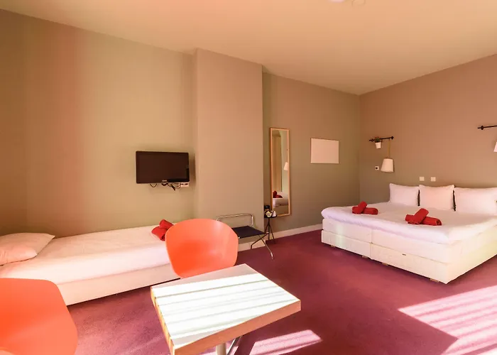 The Neighbour's Magnolia 3*