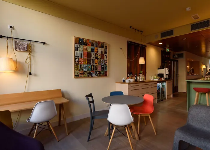 The Neighbour's Magnolia