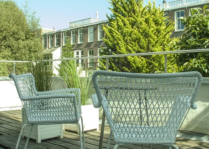 The Neighbour's Magnolia 3*