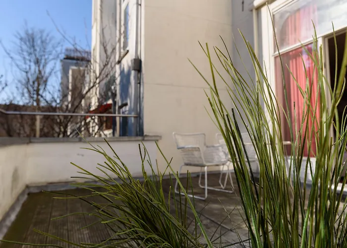 The Neighbour's Magnolia 3*