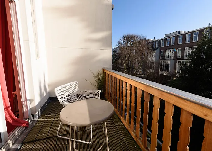 The Neighbour's Magnolia