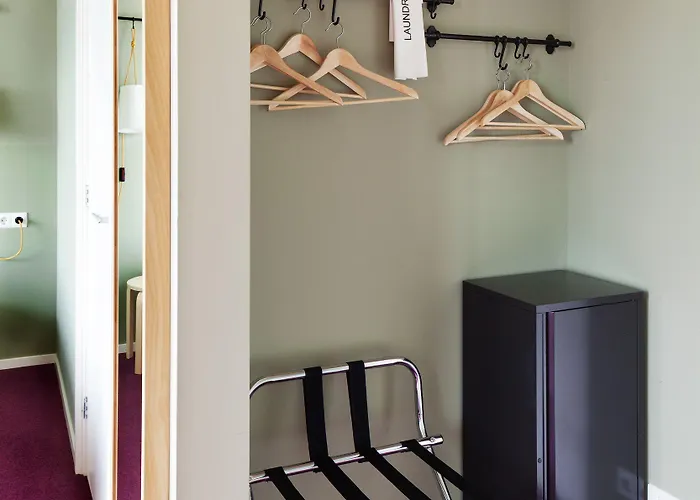 The Neighbour's Magnolia Amsterdam