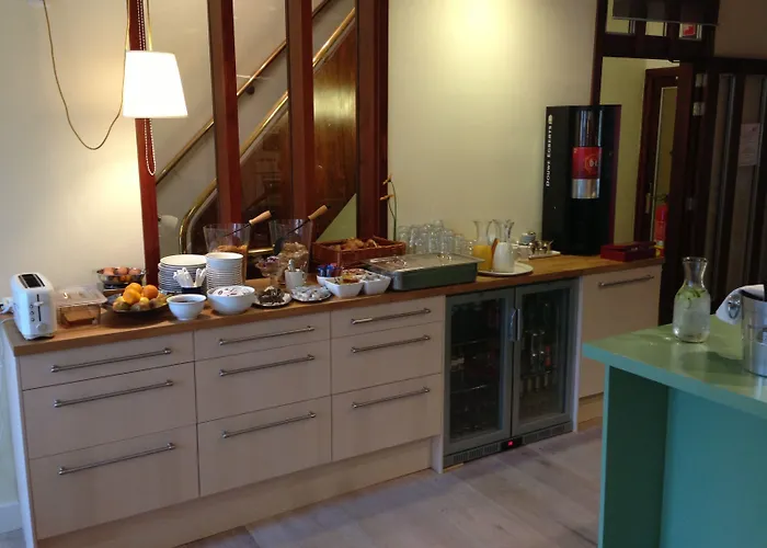 The Neighbour's Magnolia 3*