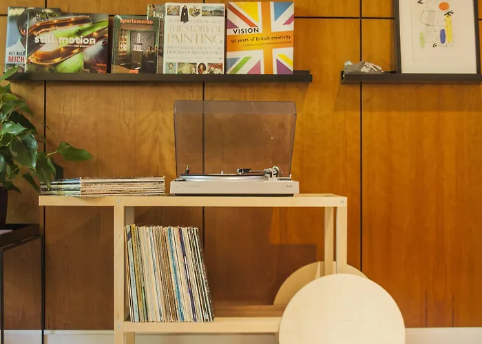 The Neighbour's Magnolia 3*