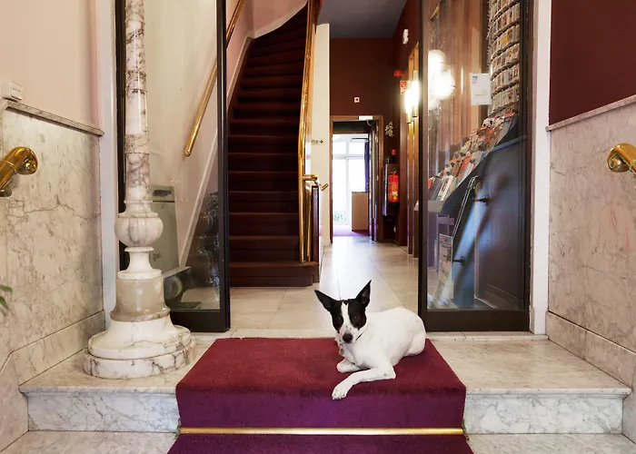 Hotel The Neighbour's Magnolia