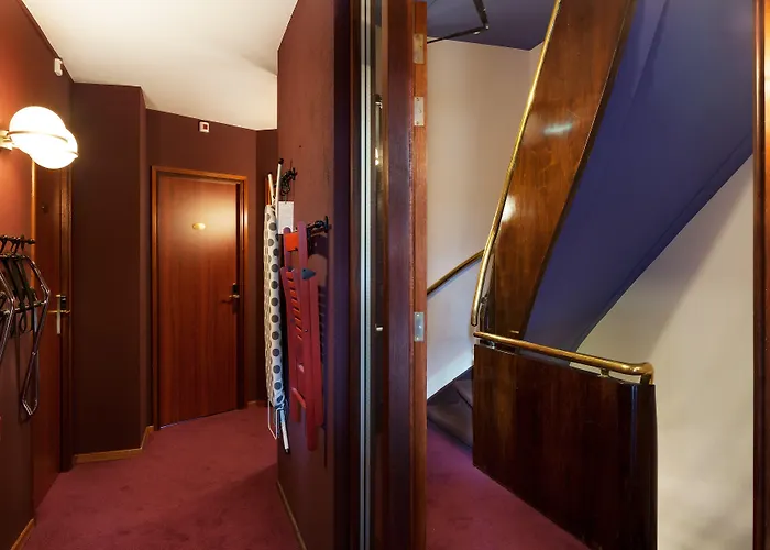 The Neighbour's Magnolia 3*