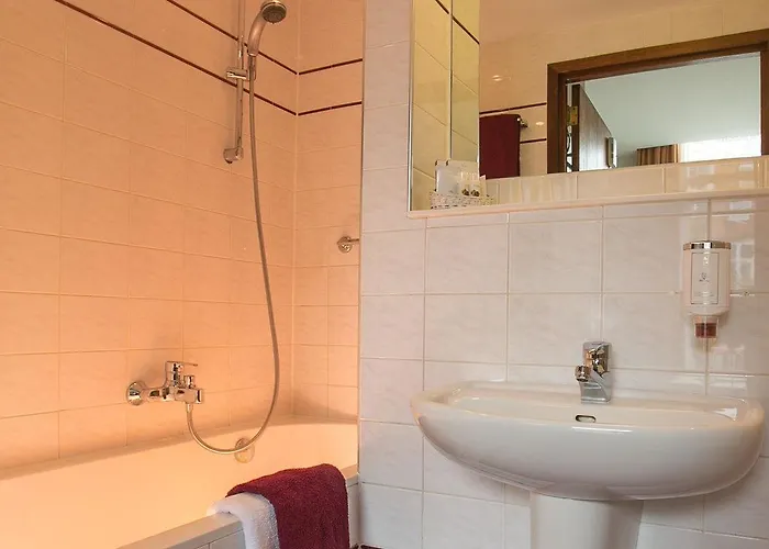 The Neighbour's Magnolia 3*