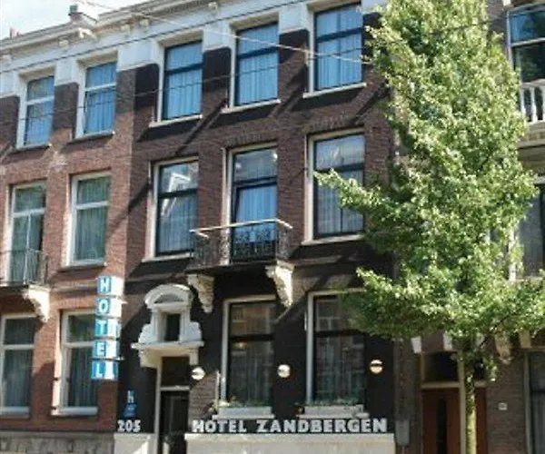 The Neighbour's Magnolia Amsterdam