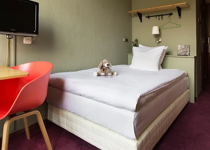 The Neighbour's Magnolia 3*