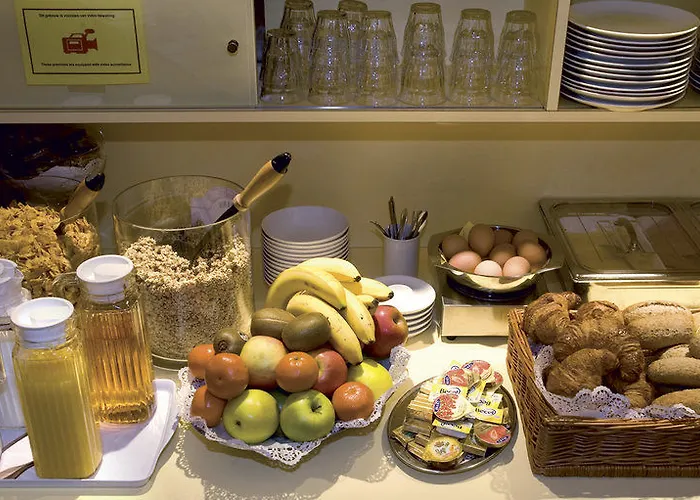 The Neighbour's Magnolia