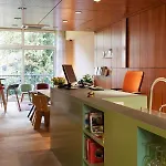 The Neighbour's Magnolia אמסטרדם