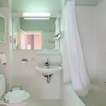 The Neighbour's Magnolia 3*