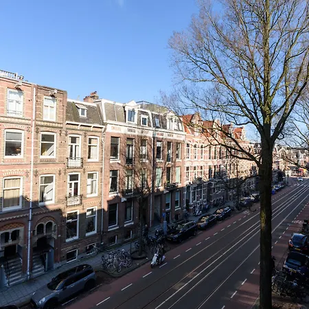 The Neighbour's Magnolia